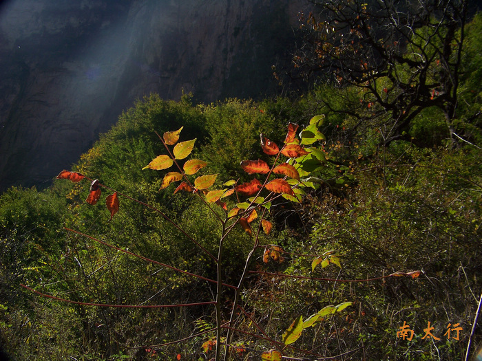 20111015mݸ߼̶̨ (32).jpg