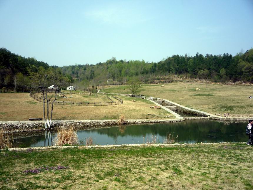 С p1000978.jpg
