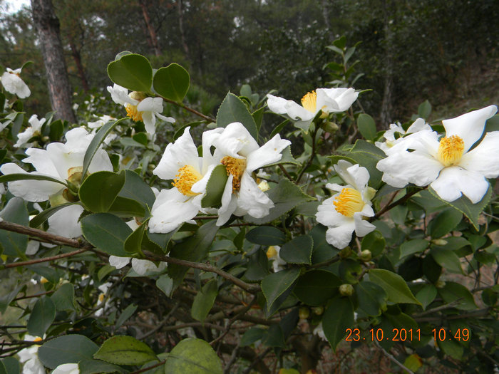 dscn9072.jpg