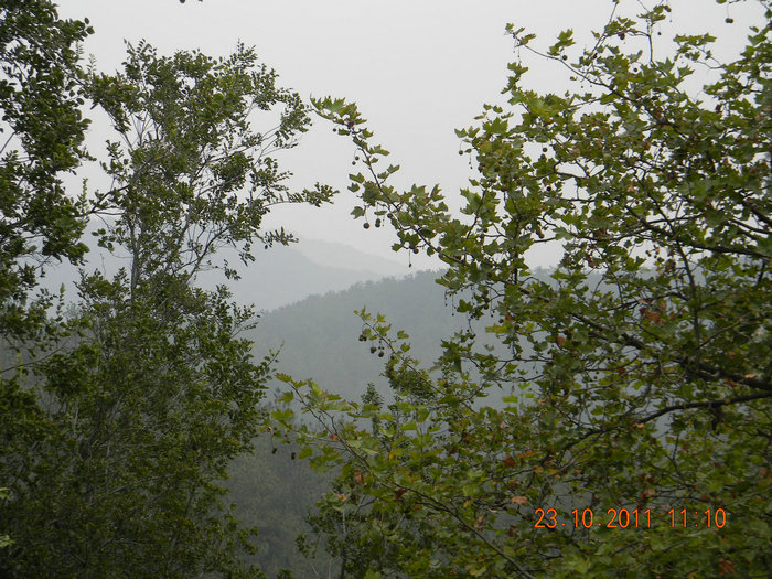 dscn9137.jpg