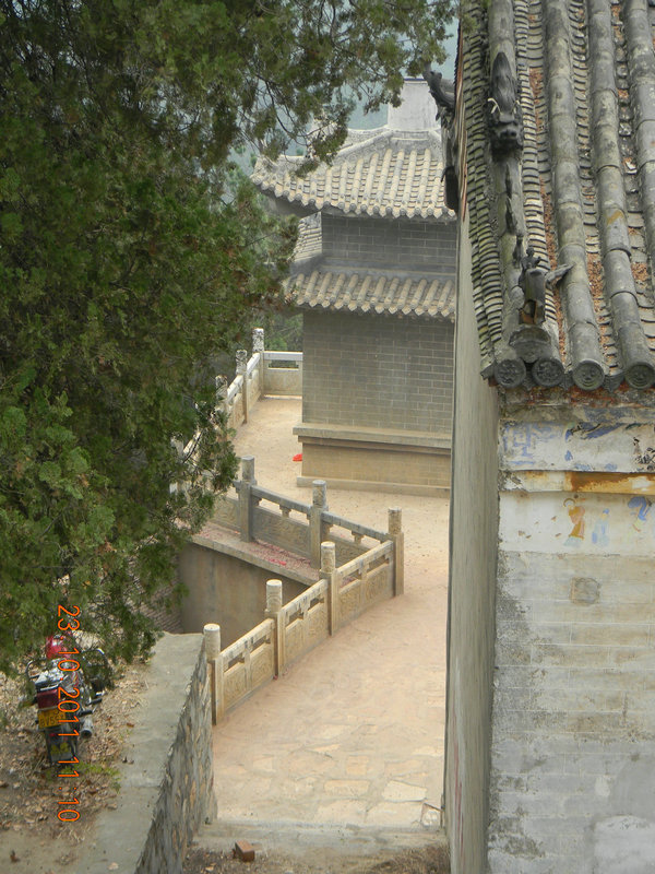 dscn9135.jpg