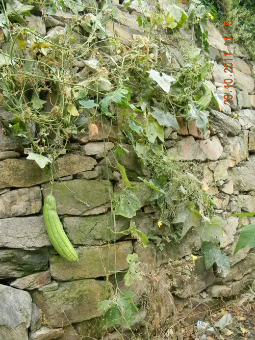 dscn9151.jpg