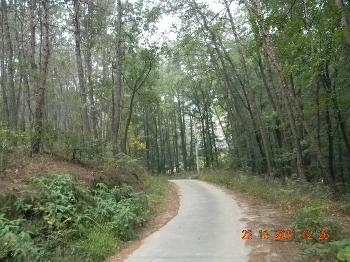 dscn9227.jpg