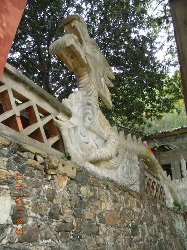 dscn9241.jpg
