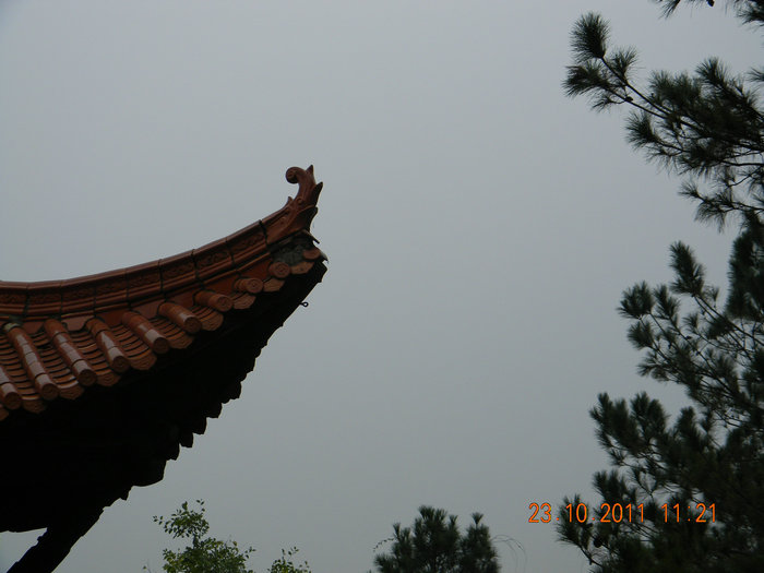 dscn9174.jpg