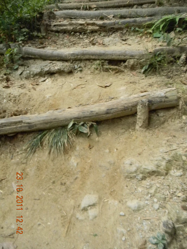 dscn9247.jpg