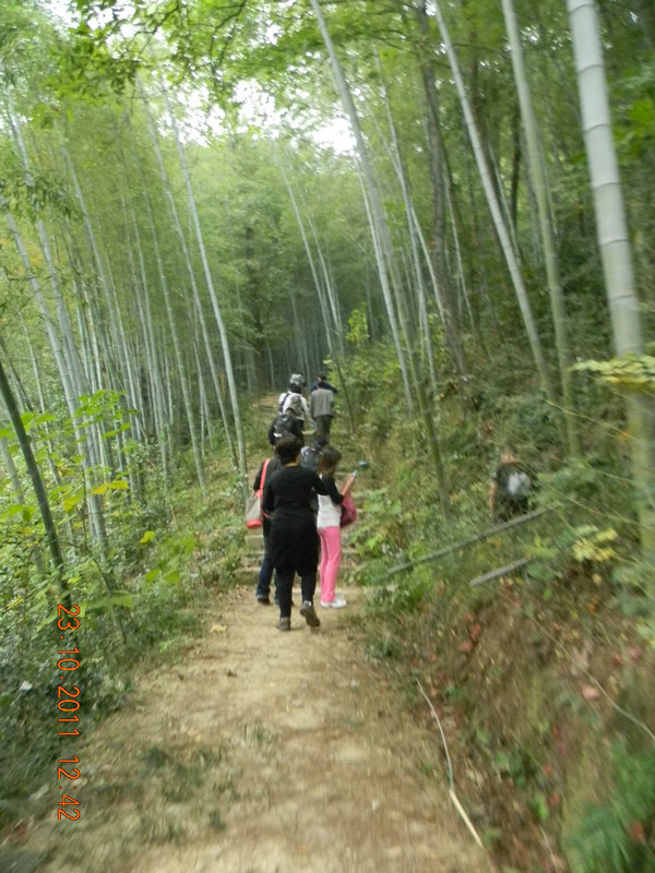 dscn9248.jpg
