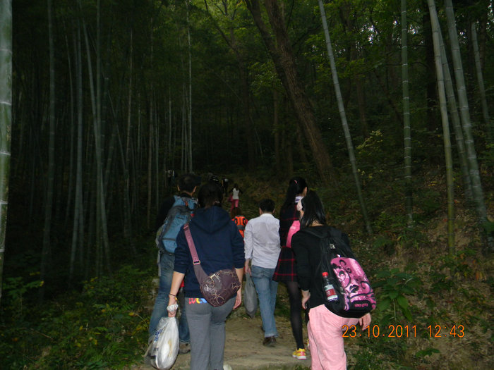 dscn9250.jpg