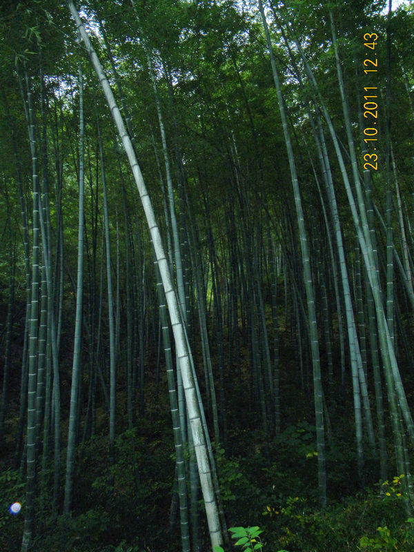 dscn9251.jpg