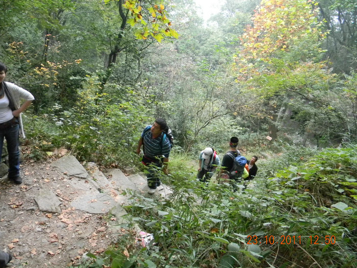 dscn9264.jpg