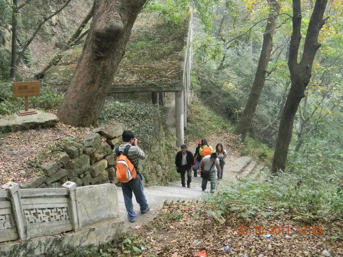 dscn9273.jpg