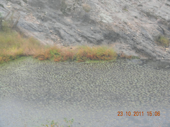 dscn9320.jpg