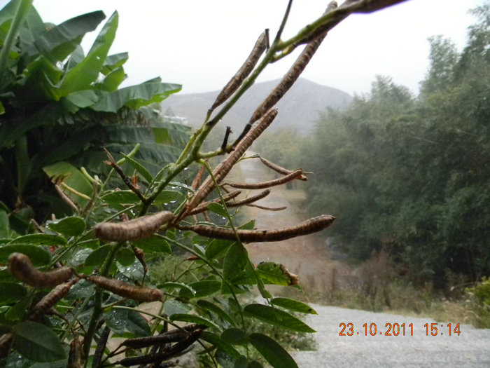 dscn9341.jpg