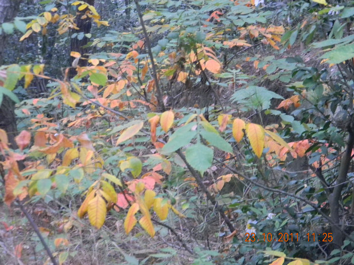 dscn9182.jpg