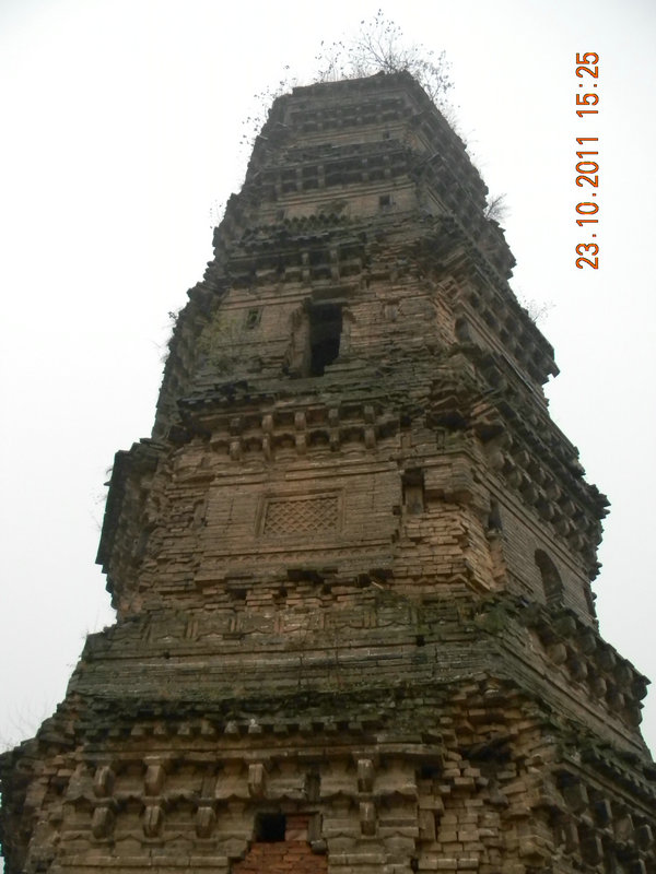 dscn9359.jpg