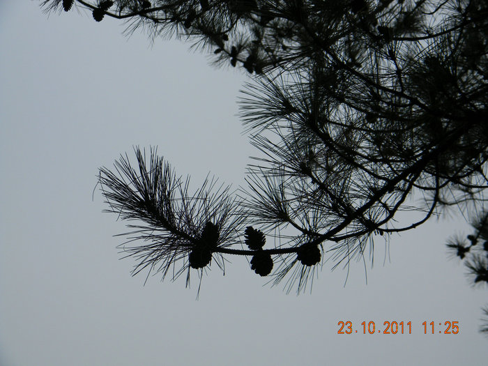 dscn9183.jpg