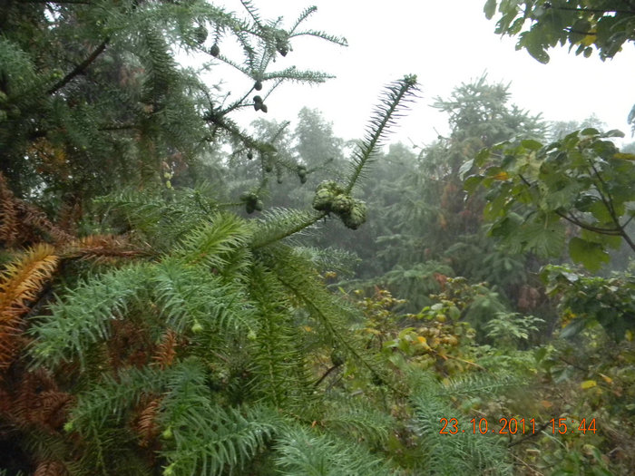dscn9375.jpg