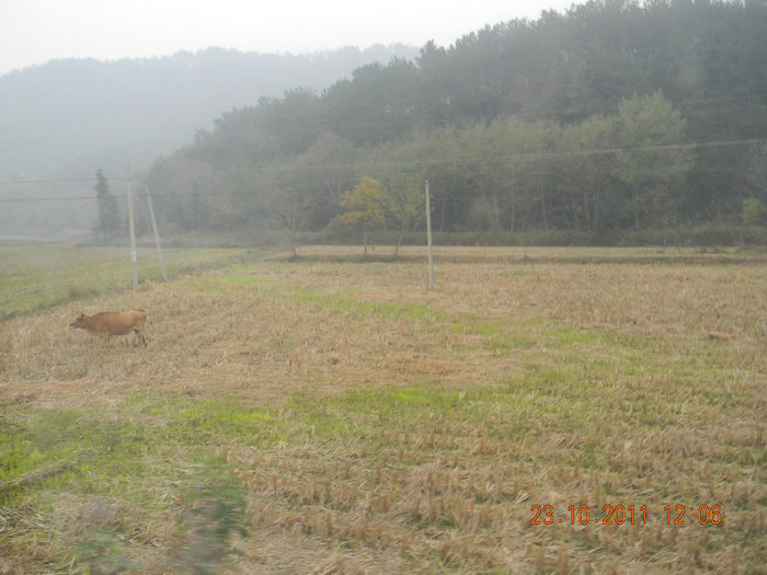 dscn9195.jpg
