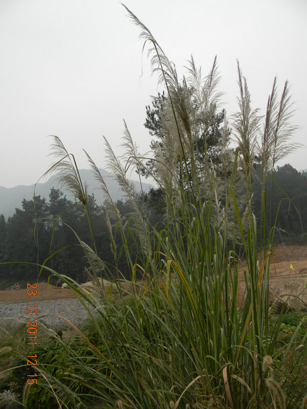 dscn9207.jpg