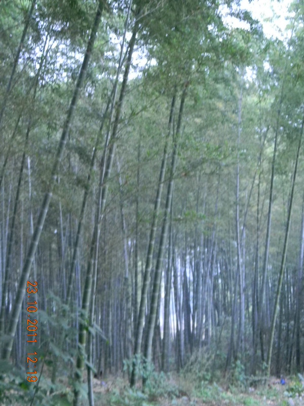dscn9215.jpg
