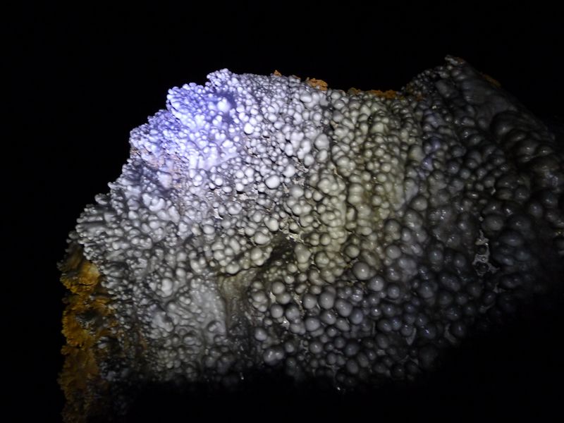 p1130494.jpg