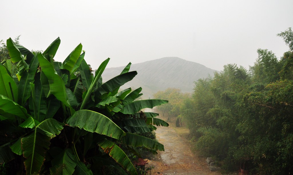 dsc_0307.jpg