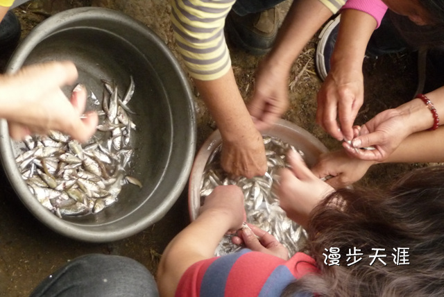 p1040641.jpg