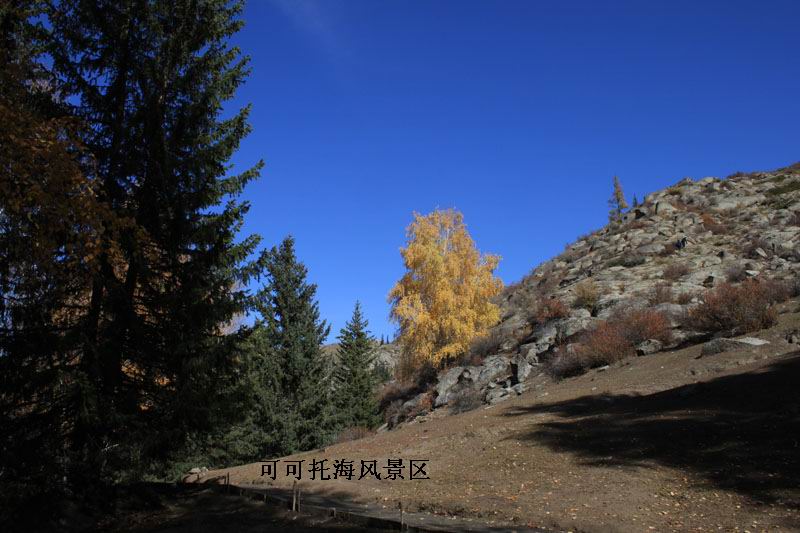 2011.9.22 445.jpg