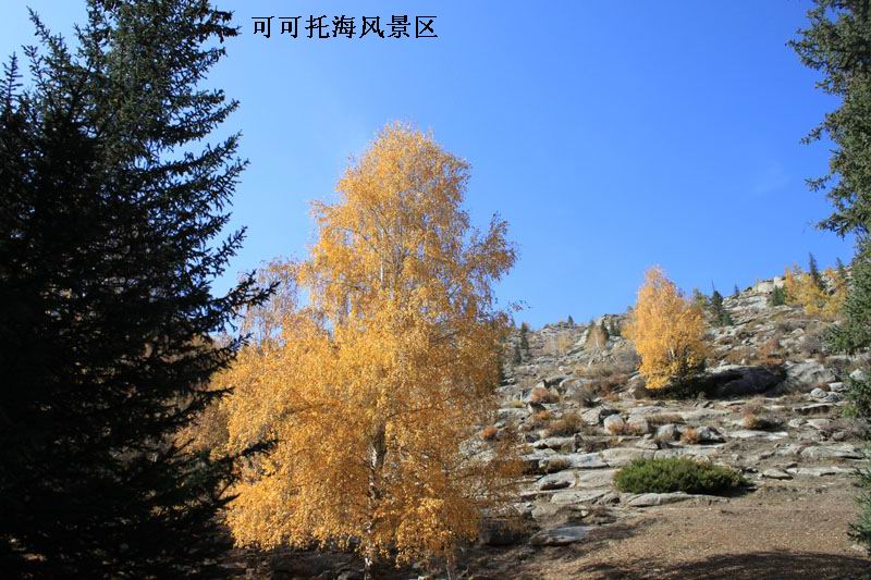 2011.9.22 443.jpg