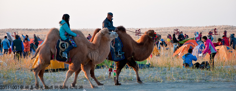 dsc_0430-1.jpg