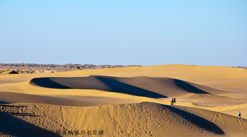 dsc_0549-1.jpg