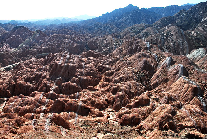 dsc_0460.jpg