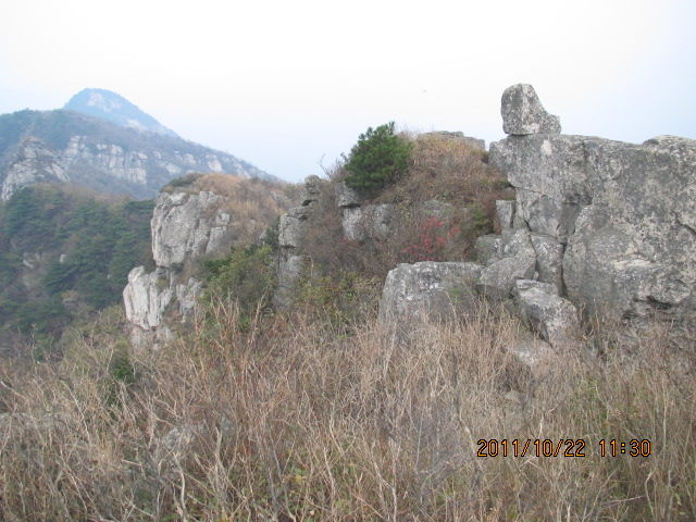 53.jpg