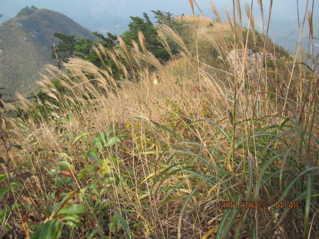 55.jpg