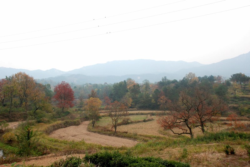 dsc_9418.jpg