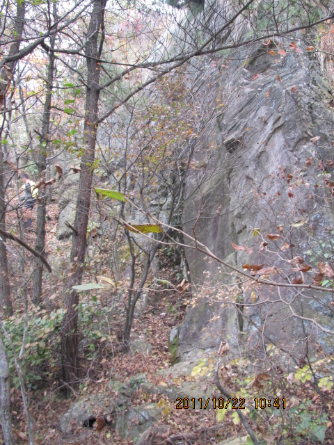 img_2151.jpg