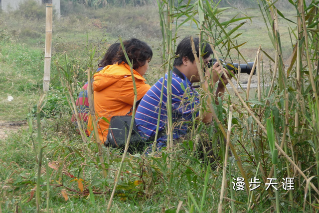 p1040593.jpg