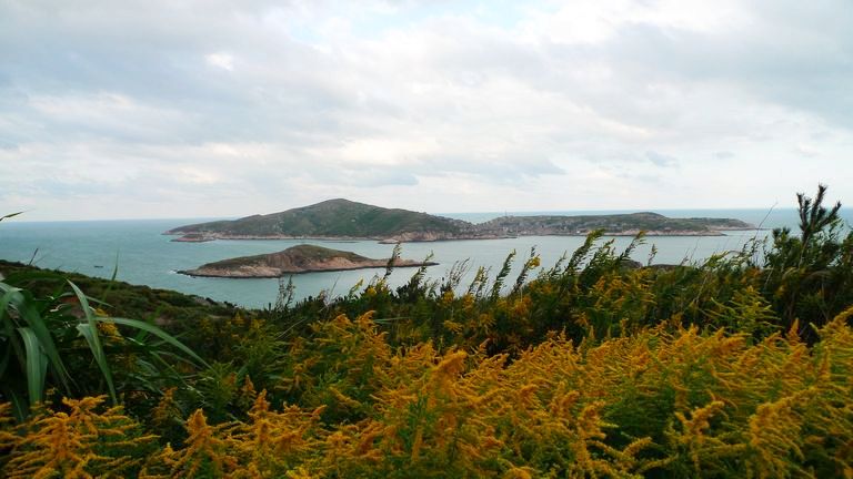 p1100791.jpg