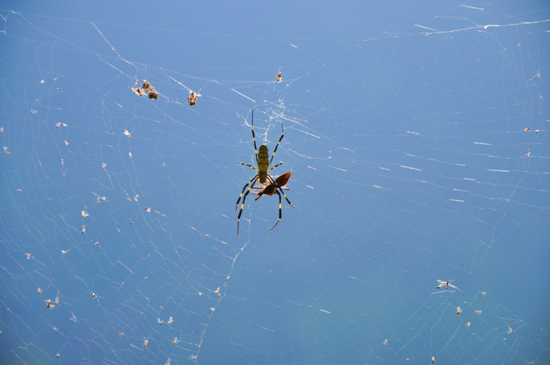 dsc_0013_.jpg