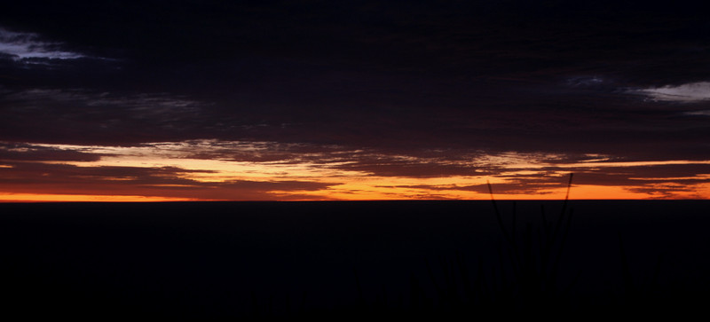 dsc_0202_.jpg