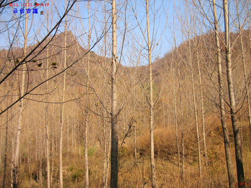img_4030_1.jpg