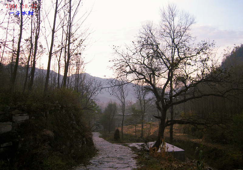 img_4104_1.jpg