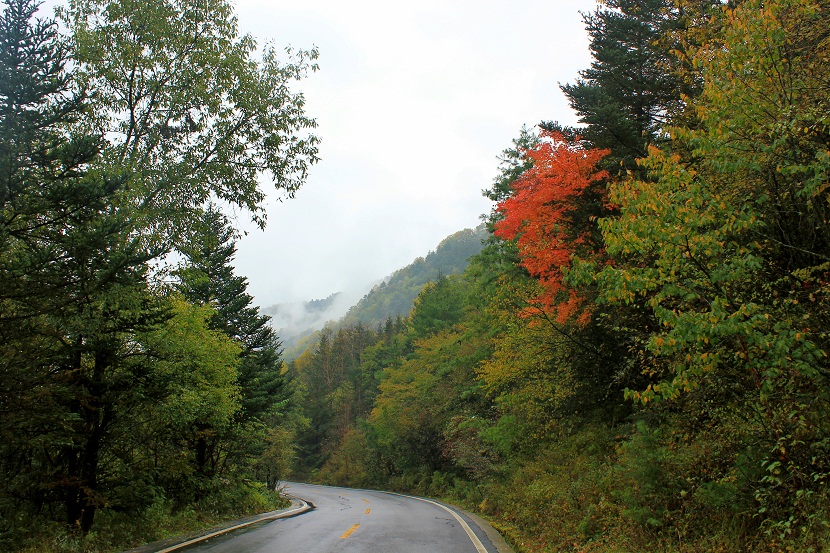 img_3068.jpg