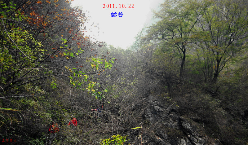 img_4169_1.jpg
