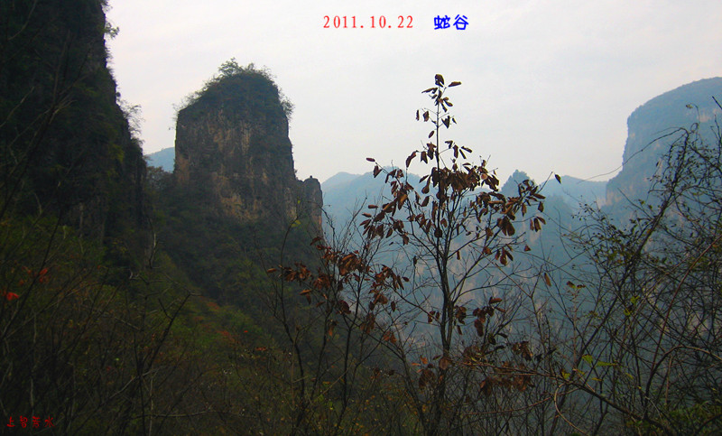 img_4177_1.jpg