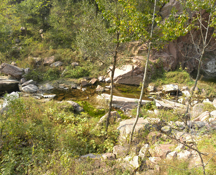 dscn4849_.jpg