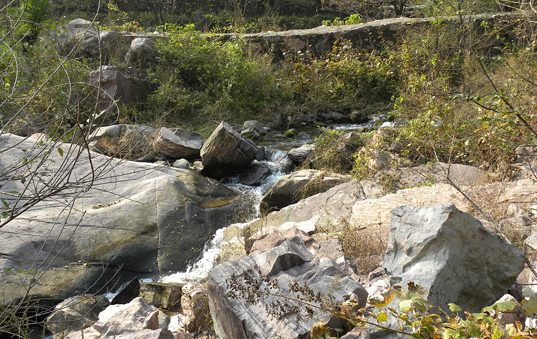 dscn4853_.jpg