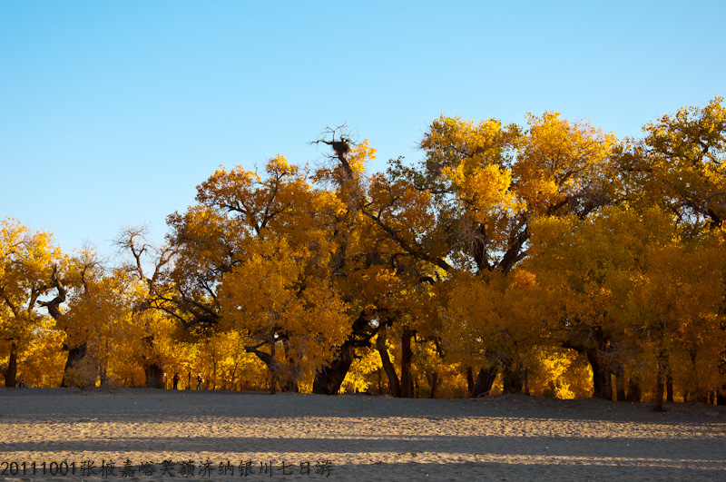dsc_0635-1.jpg