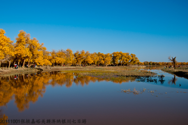 dsc_0675-1.jpg