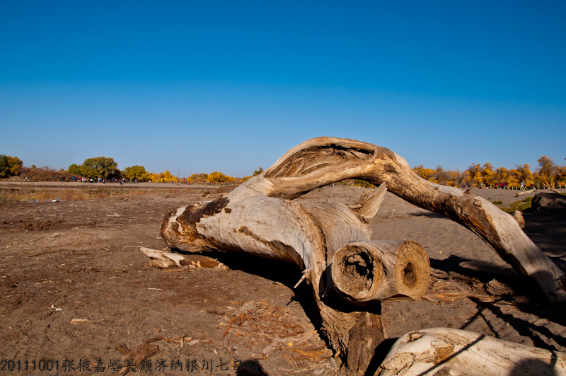dsc_0724-1.jpg
